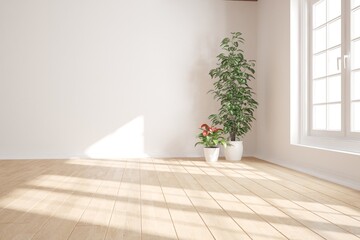 modern room with plants in white pots