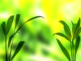 Fototapeta na wymiar Green leaf background. Beautiful and fresh background. Green plant on blur background.