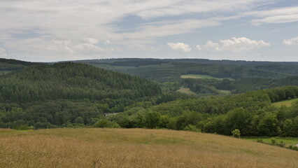 Fototapeta premium Hunsrück Landschaft