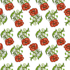 red orange poppies pattern white background