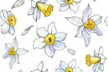 Seamless white daffodil hand drawn  floral pattern. Narcissus endless background. Spring easter backdrop. For greeting cards, invitations, decorations, floral prints, floristic design, wallpaper.