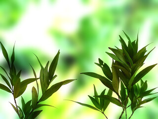 Green leaf background. Beautiful and fresh background. Green plant on blur background.