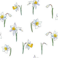 Seamless floral white daffodil pattern. Hand drawn narcissus endless background. Spring easter backdrop. For greeting cards, invitations, decorations, floral prints, floristic design, wallpaper. - 357412534