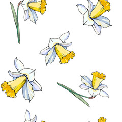 Seamless  floral pattern from white daffodil. Hand drawn narcissus endless background. Spring easter backdrop. For greeting cards, invitations, decorations, floral prints, floristic design, wallpaper. - 357412707
