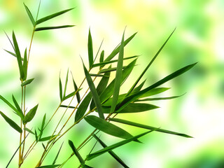 Green leaf background. Beautiful and fresh background. Green plant on blur background.