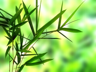 Green leaf background. Beautiful and fresh background. Green plant on blur background.