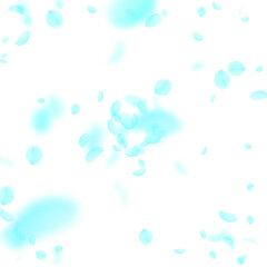 Turquoise flower petals falling down. Sightly roma