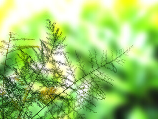 Green leaf background. Beautiful and fresh background. Green plant on blur background.