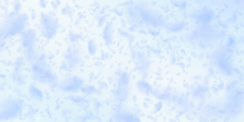 Light blue flower petals falling down. Breathtakin