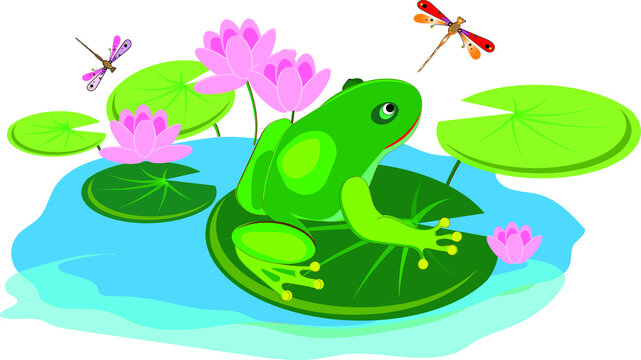 A cute frog sits on a lotus leaf surrounded by pink flowers and watches dragonflies.