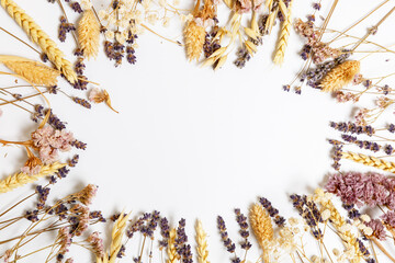  Frame of dry lilac lavender, spikelets and flowers on a white background. Autumn concept. Beautiful background. Copy space, border.