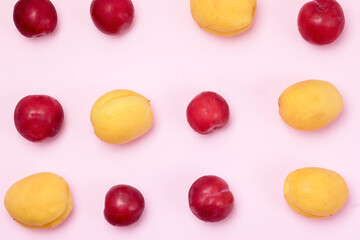 Tasty Fruits Apricots and Red Plums Summer Background Pink Background Top View Horizontal