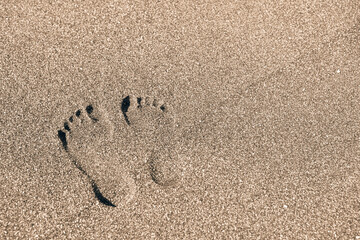 Fototapeta na wymiar man's leg on yellow sea sand close-up on a sunny day