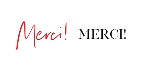 Merci Beaucoup! Thank you very much in French vector quote