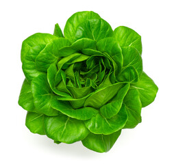 Fresh salad, cabbage or lettuce isolated on white top view. Close up.