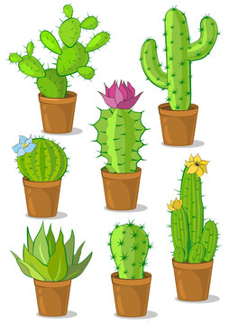 Set of colorful cactus images with flowers. Vector illustration.