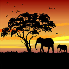 African landscape with sunset and the silhouette of trees and elephants. Vector illustration.
