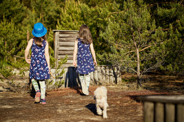 girl in a summer dress runs in a pine forest