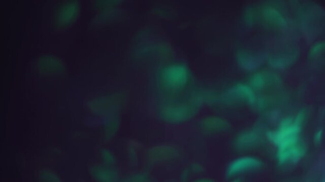 cool bokeh light transition or video overlay in 4k.