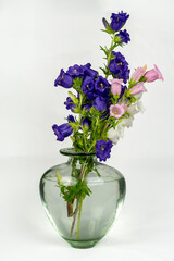 Bellflowers in a glass vase