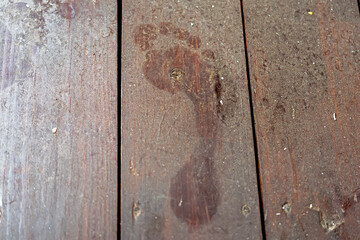 The footprint on the dusty hardwood floor, horizontal shot