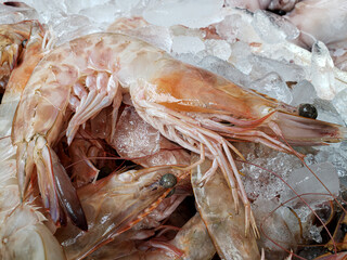 Close up on shrimp on countertop with ice, seafood