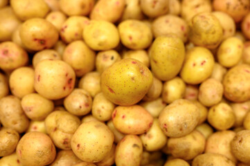 a pile of vegetables washed yellow potatoes as background