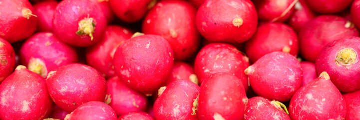 a pile of vegetables round red radishes as background. banner