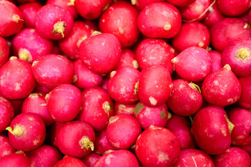 a pile of vegetables round red radishes as background