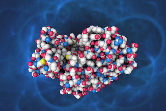 Space-filling molecular model of human pepsin 3b. Scientific background. 3d illustration