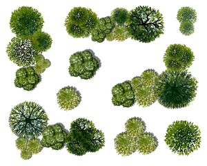 Set of watercolor tree top view for landscape plan and architecture layout
