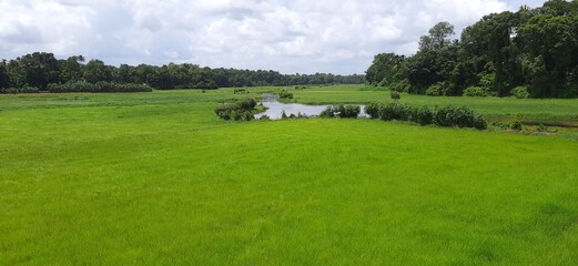 Field canal palackamattom, kerala 