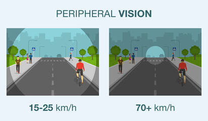 Driving a car. Peripheral vision while driving. Road safety. Flat vector illustration.