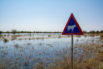 cattle road sign next to flooded plains in Africa