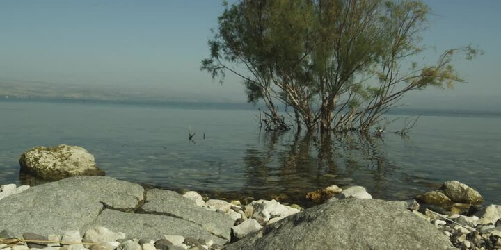 On the shore of the Sea of Galilee