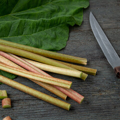 Rhubarb placed on a wooden table. Fresh rhubarb at home
