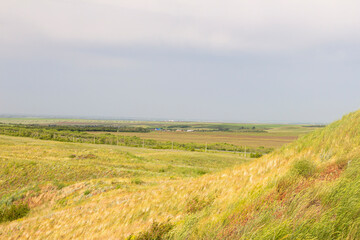 Obraz premium twilight in the steppe open look at the day light