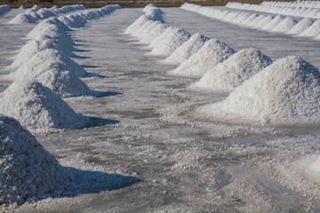 Salt piles in salt farm waiting for transportation