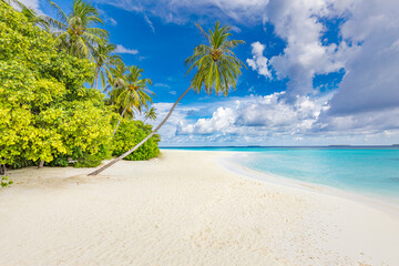 Beautiful beach with palm trees and moody sky. Summer vacation travel holiday background concept. Maldives paradise beach. Luxury travel summer holiday background concept. Exotic travel destinations