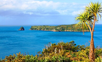 Geheimnisvolle Insel