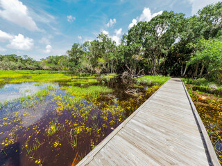 Braodwalk across wetlands in The William S Boylston Nature Trail in Myakka River State Park in Sarasota Florida in the United States © Jim Schwabel