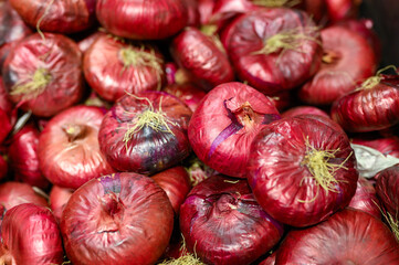 a pile of vegetables red salad onions as background