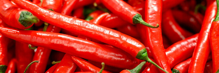 a pile of vegetables red hot chili peppers as background. banner