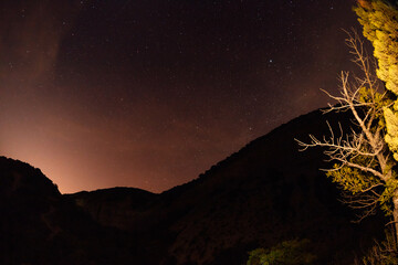 Night star sky background with mountains and tree