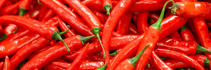 a pile of vegetables red hot chili peppers as background. banner