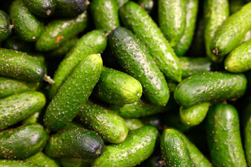 a pile of vegetables cucumber as background