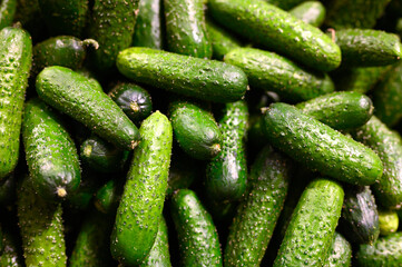 a pile of vegetables cucumber as background