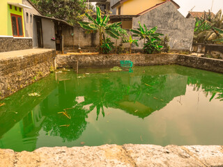 Naklejka premium view of green ponds