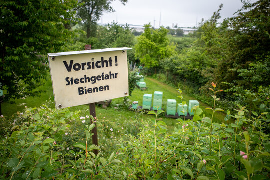 sign says "Beware of stinging bees" and in the background are beehives