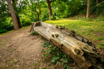 Richmond Park